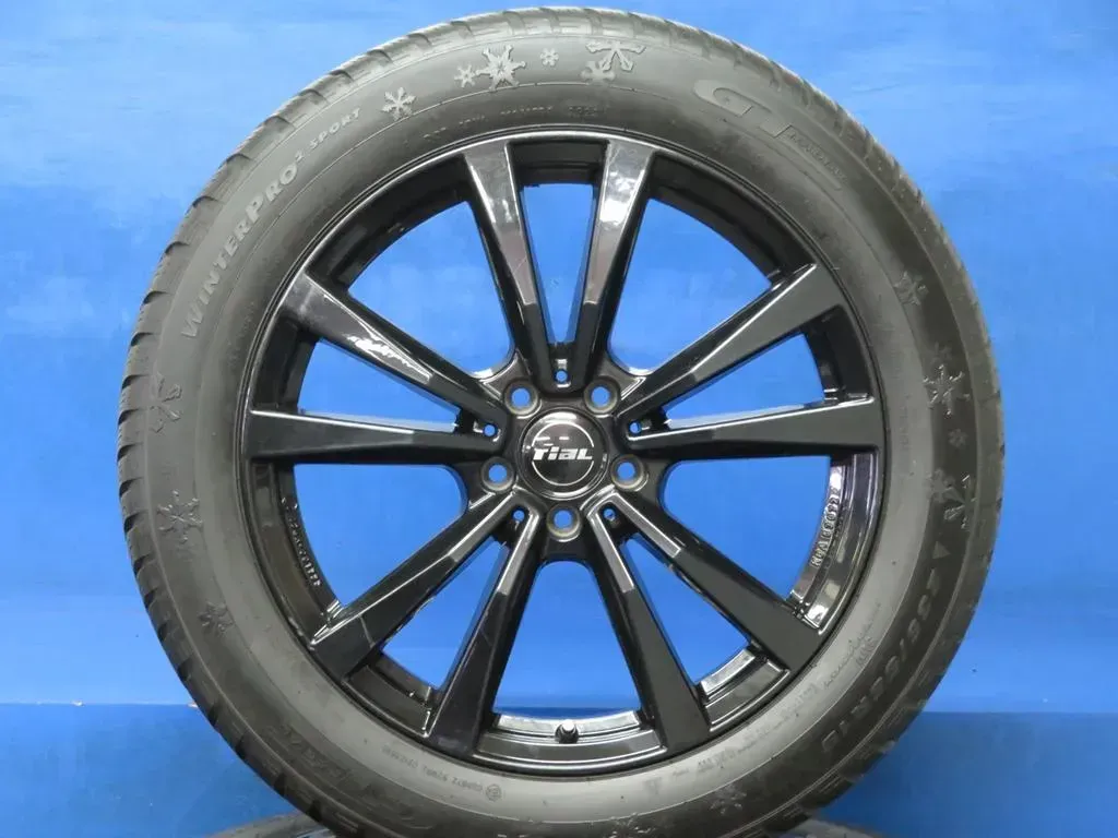 Audi Q5 + SQ5 Typ 8R + FY 19 Zoll Winterräder Alufelgen M12 809 Schwarz Winterreifen 2x 7 mm 2x 7,2 mm - Bild 1
